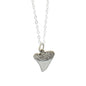 Shark Tooth Necklace in Sterling Silver