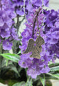 Praying Angel Necklace in Silver Tone Metal. Satellite Chain.